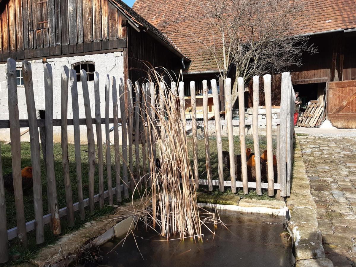 Pension Will Kusterdingen Extérieur photo